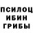 Галлюциногенные грибы Cubensis Ahmad Jassem